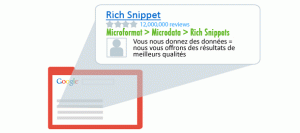 Rich Snippet - Microformat - Microdata